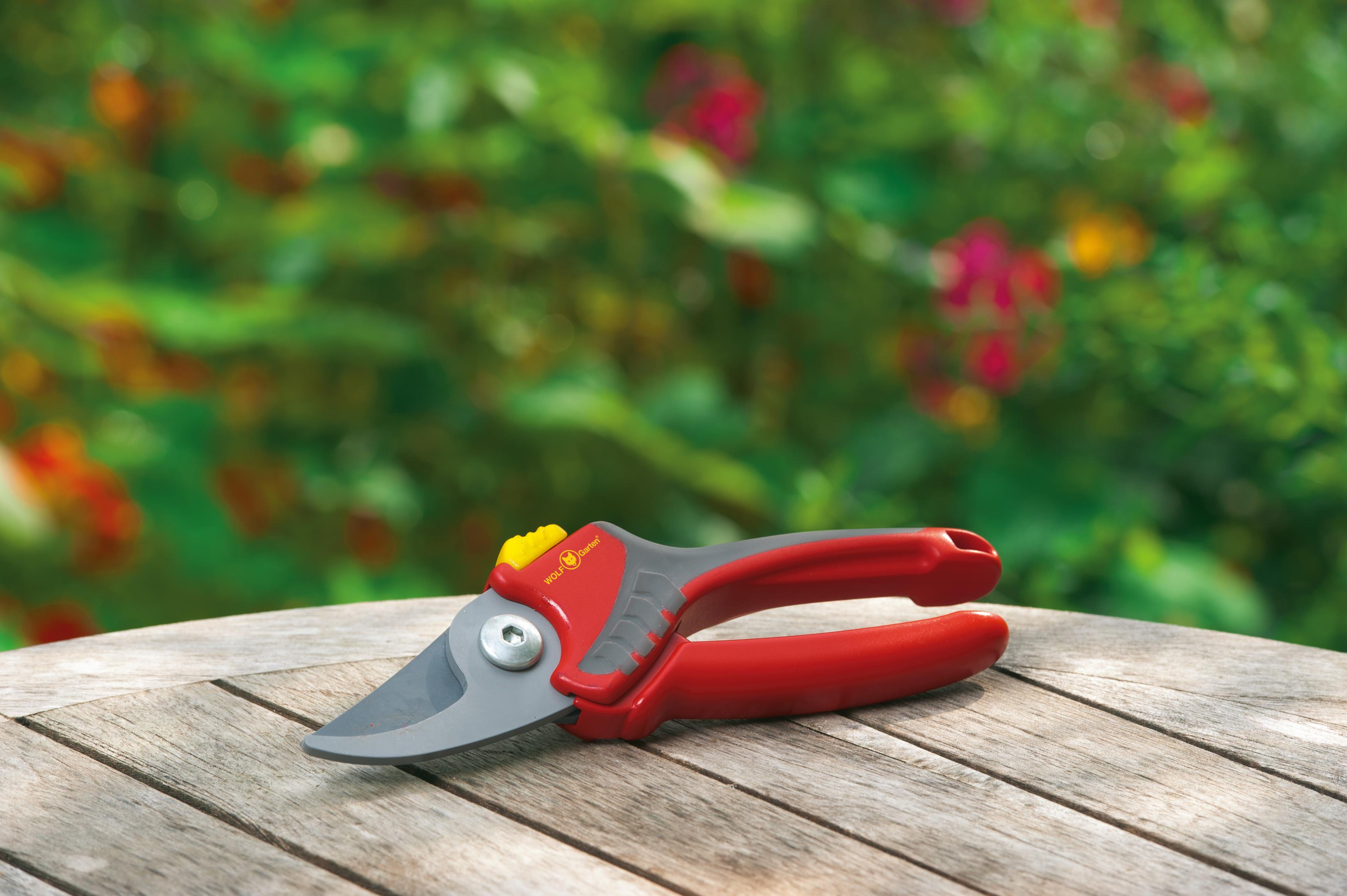 Rote und graue Gartenschere auf einer Holzoberfläche mit verschwommenem grünen Laubhintergrund.