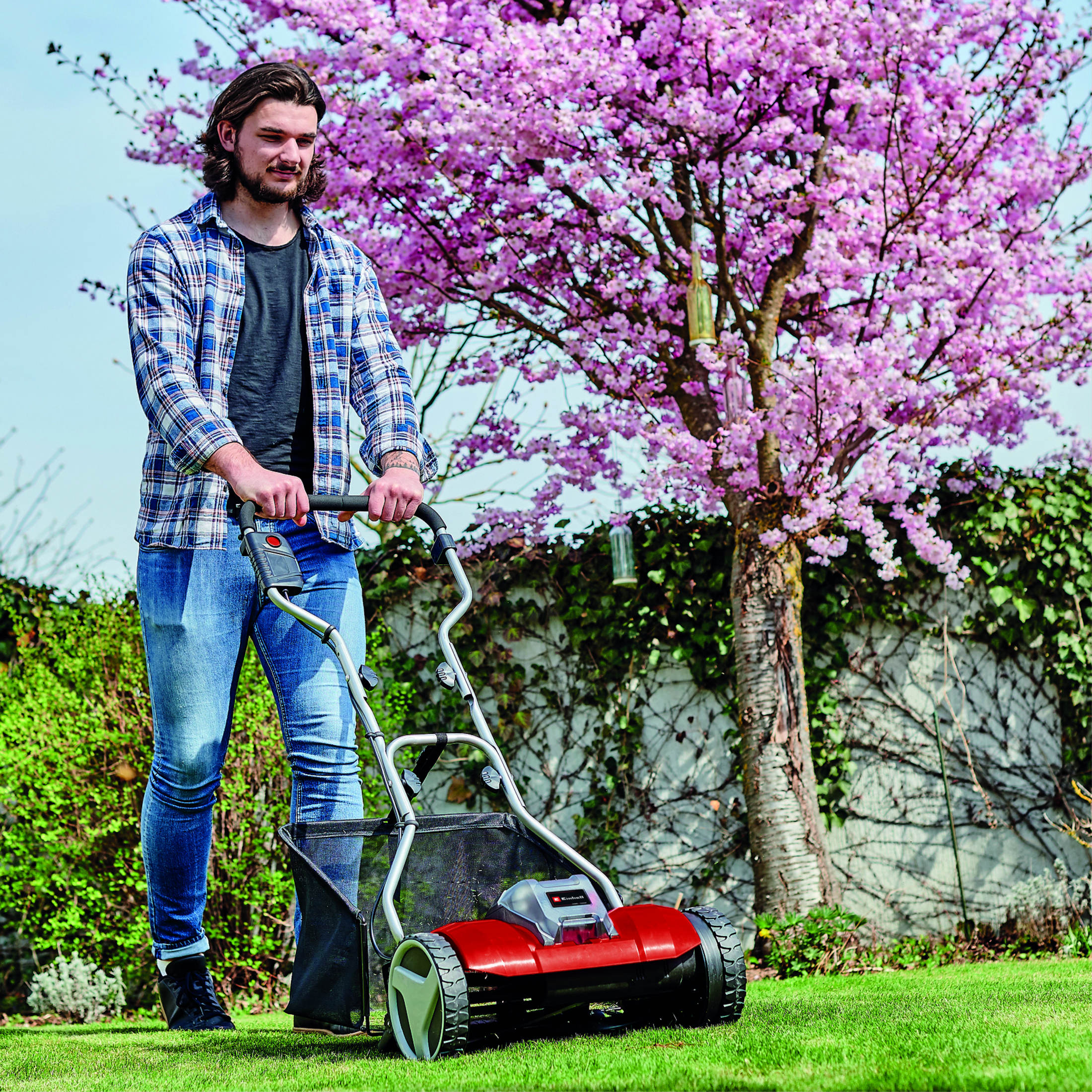Homme tondant la pelouse avec tondeuse rouge sous arbre rose. Herbe verte, ciel bleu en arrière-plan.