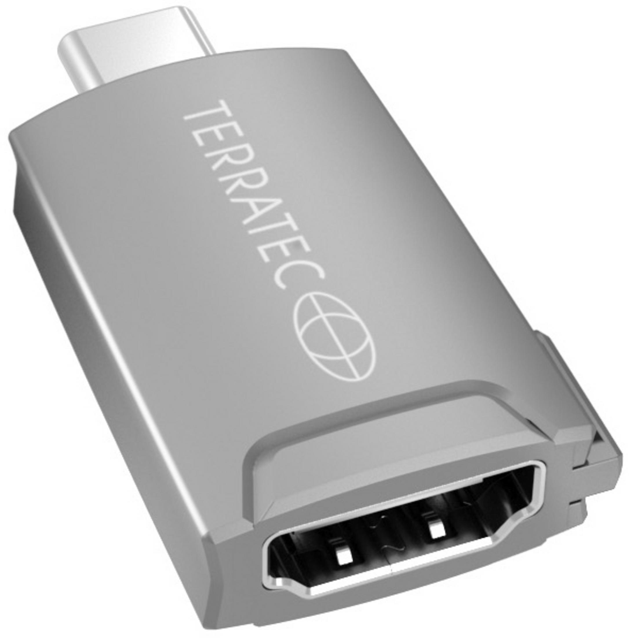TERRATEC 306704 CONNECT C 12 Type-C USB Adapter, Grau