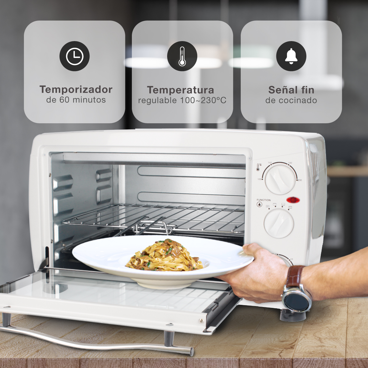 Un horno blanco con un plato de comida dentro y etiquetas de texto en la parte superior.