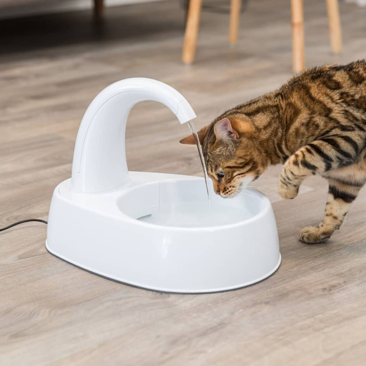 Un gatto beve acqua da una fontana bianca per animali domestici. La fontana ha un beccuccio curvo.