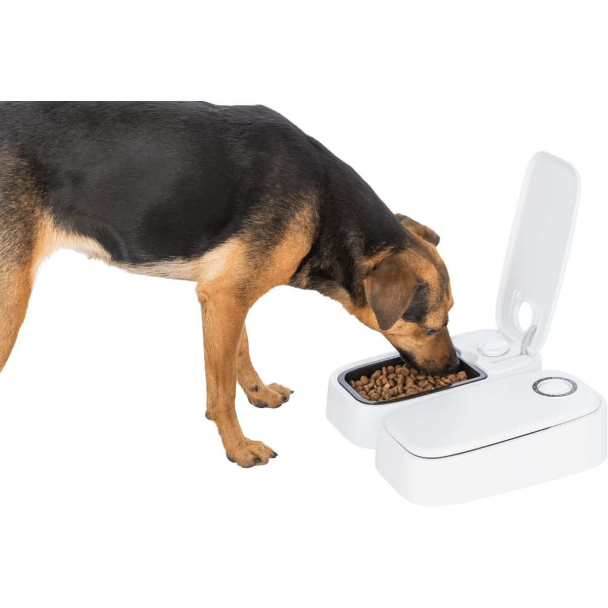 Hund frisst aus einem weißen, automatisierten Haustierfutterautomaten mit teilweise offenem Deckel.