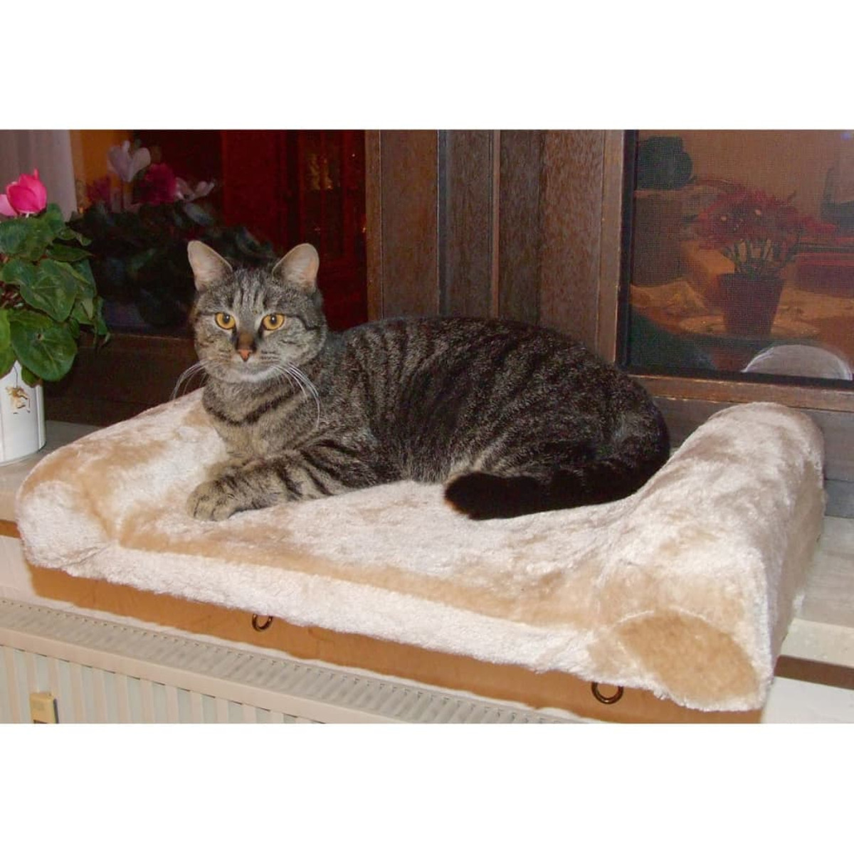 Getigerte Katze liegt auf einem beigen Katzenbett am Fenster, eine Pflanze ist sichtbar.