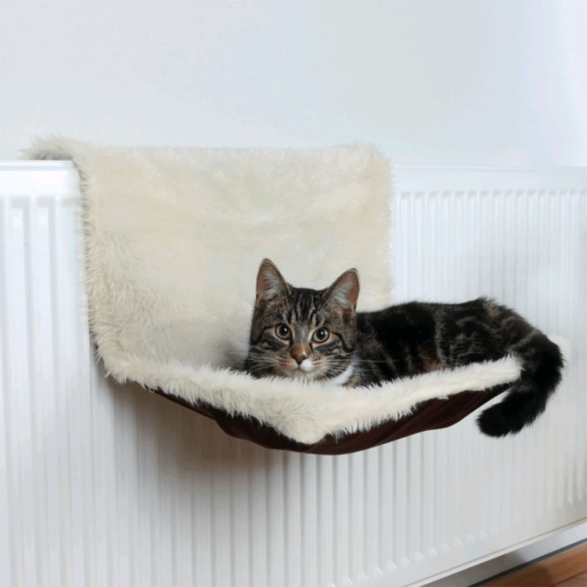 Un gatto sdraiato in un letto attaccato a un radiatore bianco. Il gatto è tigrato.