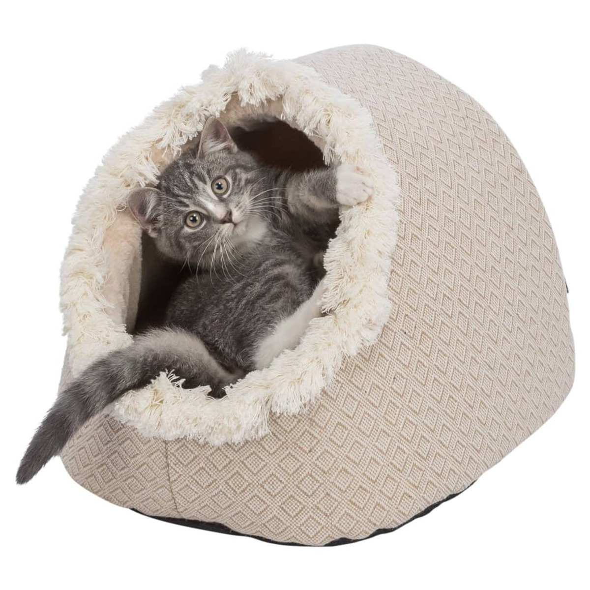 Un gatto grigio e bianco in un letto beige per animali domestici con bordo color crema.