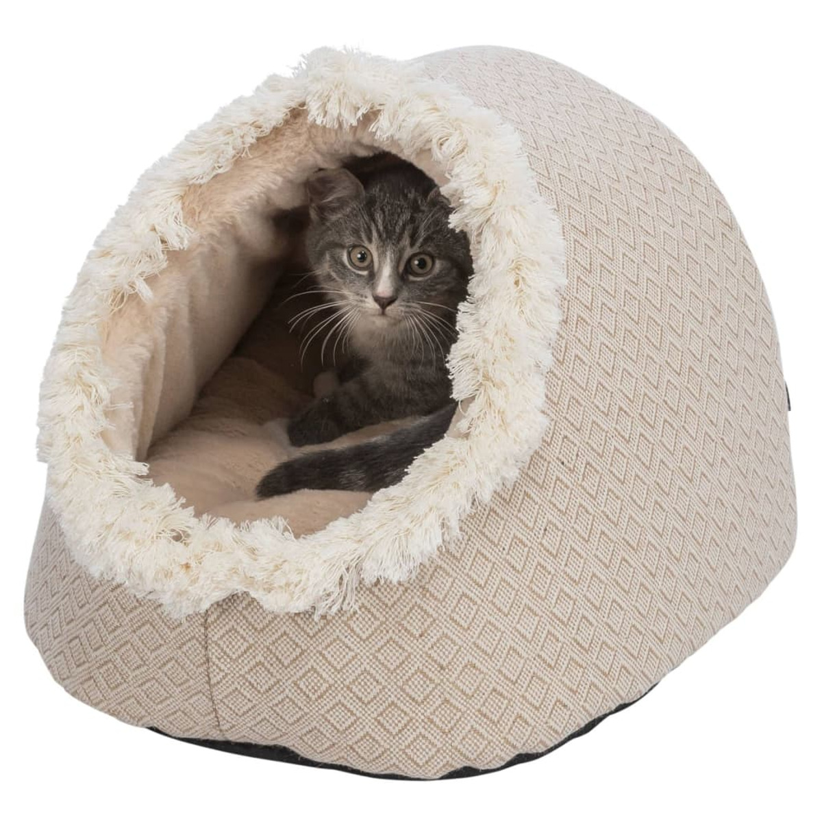Un gattino grigio dentro un letto beige per gatti. Il letto ha un bordo soffice.
