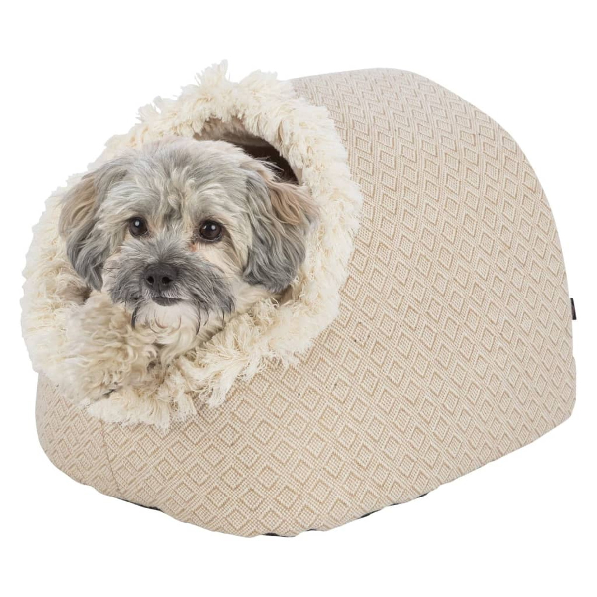 Un cagnolino all'interno di un lettino beige per animali domestici, con un bordo soffice.