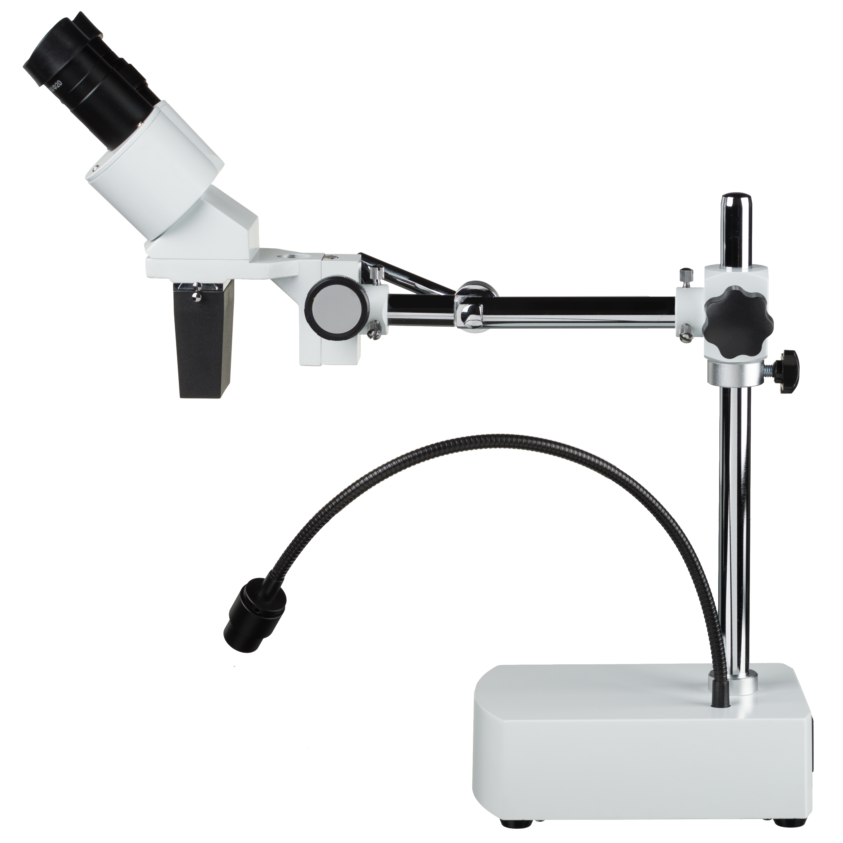 Stereomikroskop mit beweglichem Arm und Lichtquelle. Weißer Hintergrund.
