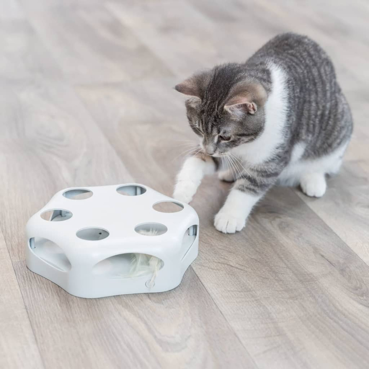 Kot bawi się białą zabawką z otworami i wystającym piórem. Zabawka leży na podłodze.