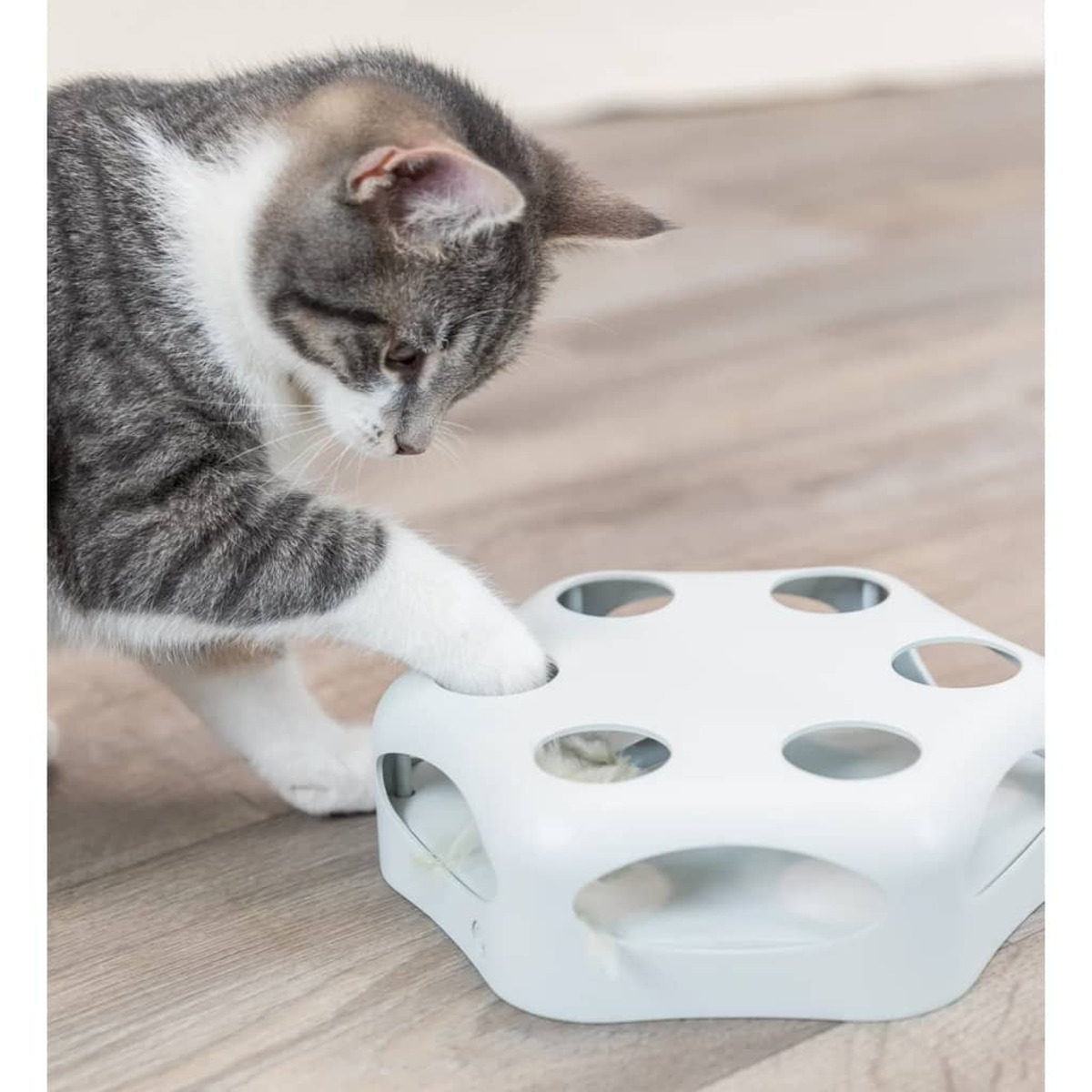 Kot bawiący się białą zabawką. Łapa kota sięga do otworu zabawki.