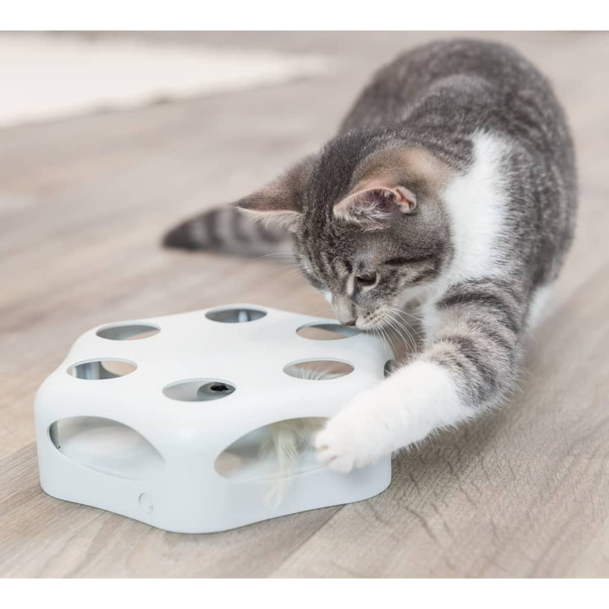 Szary i biały kot sięga do białej zabawki dla kota z okrągłymi otworami.
