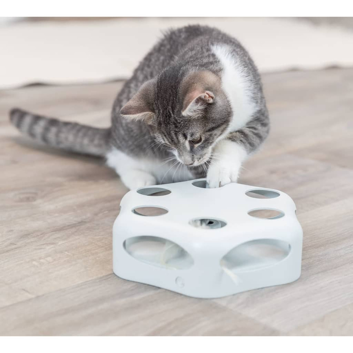 Szary kot bawi się biało-szarą zabawką. Dotyka zabawki łapą.