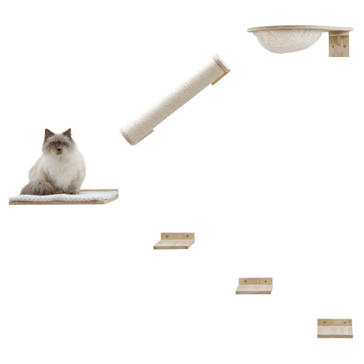 Eine Katze auf einem Regal, mit Wand-Katzenmöbeln, vor einer weißen Wand.