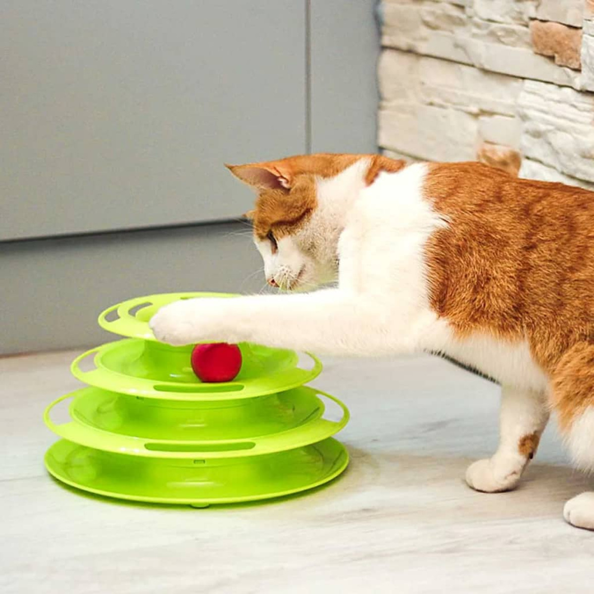 Eine Katze, die mit einem grünen und roten Katzenspielzeug spielt. Katze ist orange und weiß.
