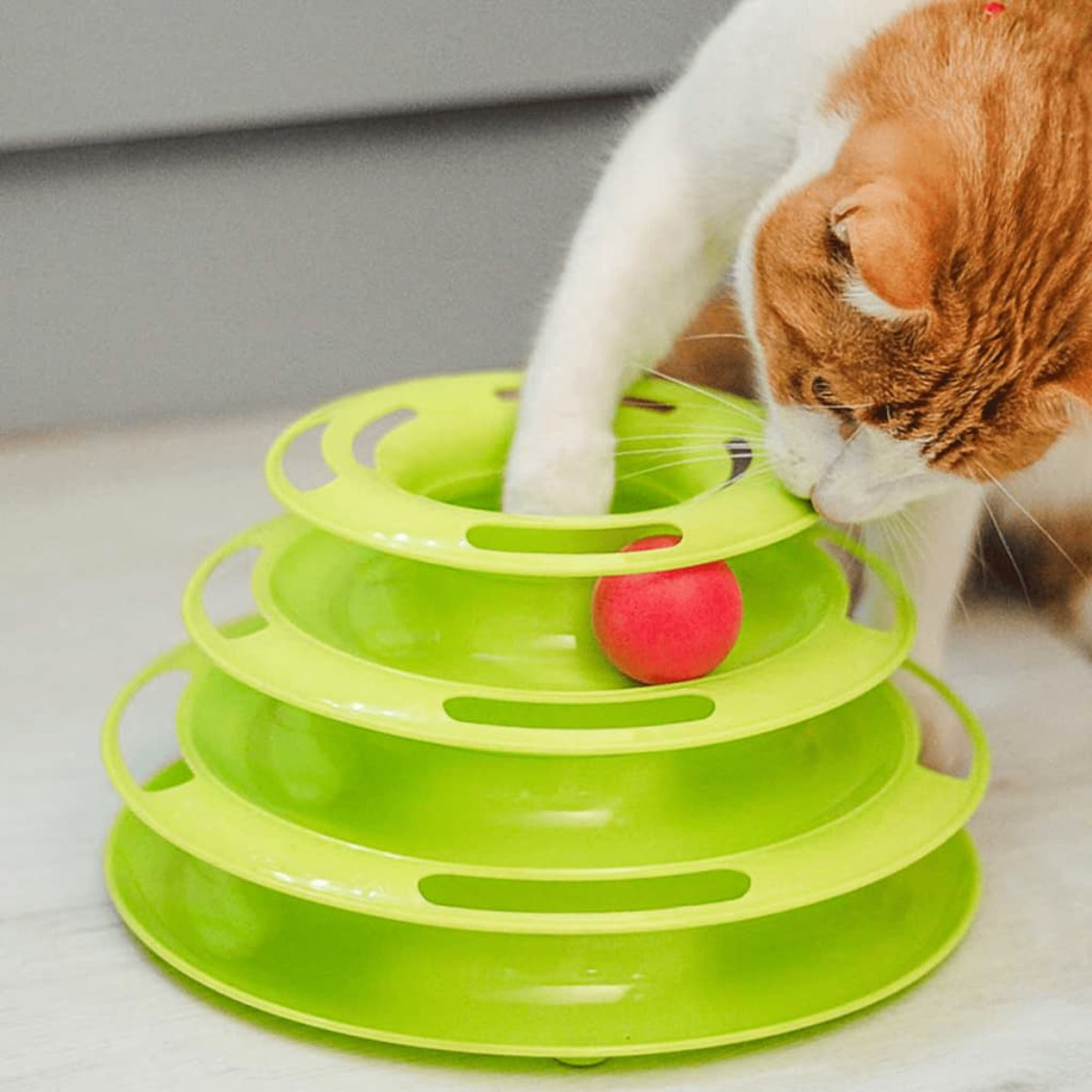 Eine Katze spielt mit einem grünen Katzenspielzeug mit rotem Ball.