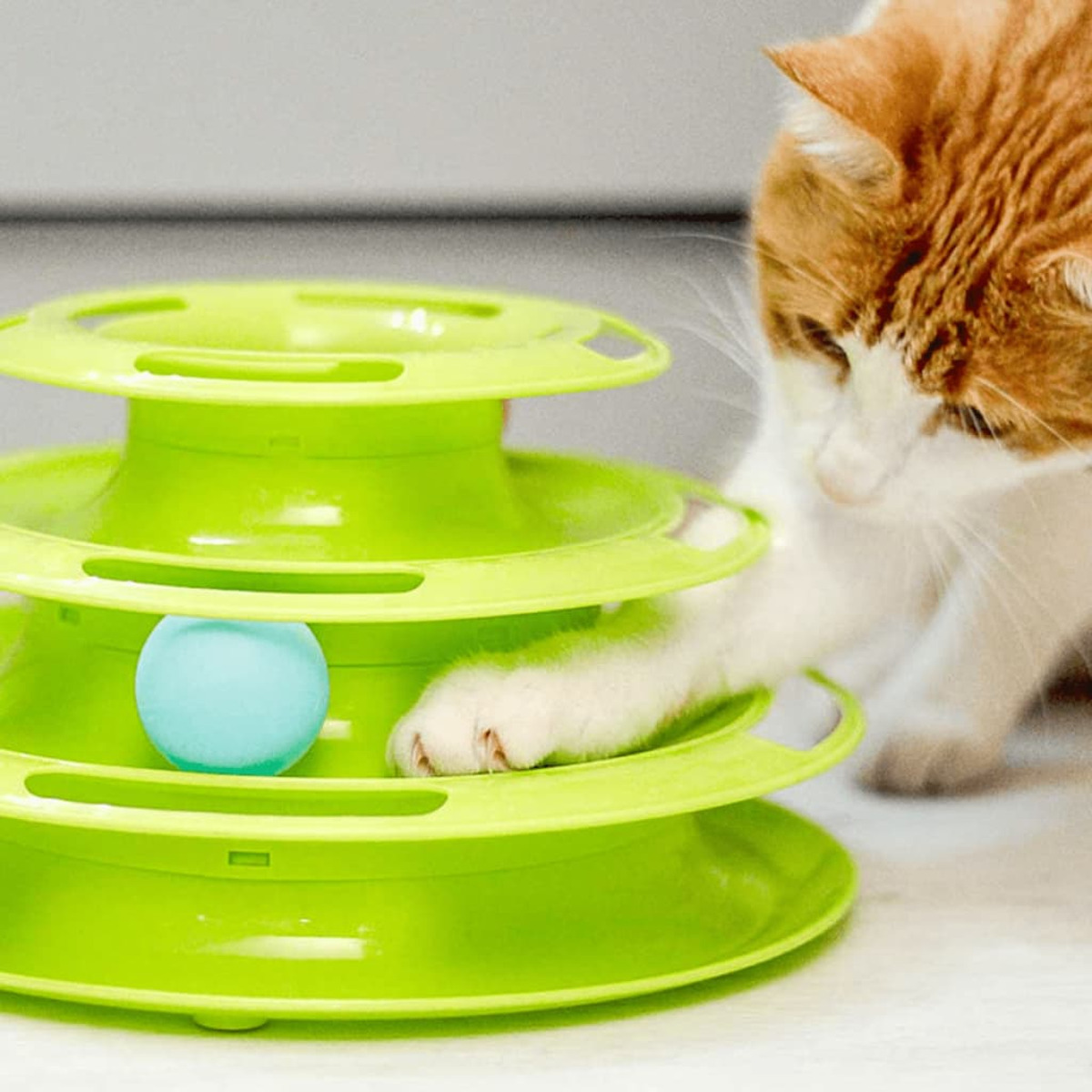 Eine Katze spielt mit einem grünen und blauen Spielzeug.