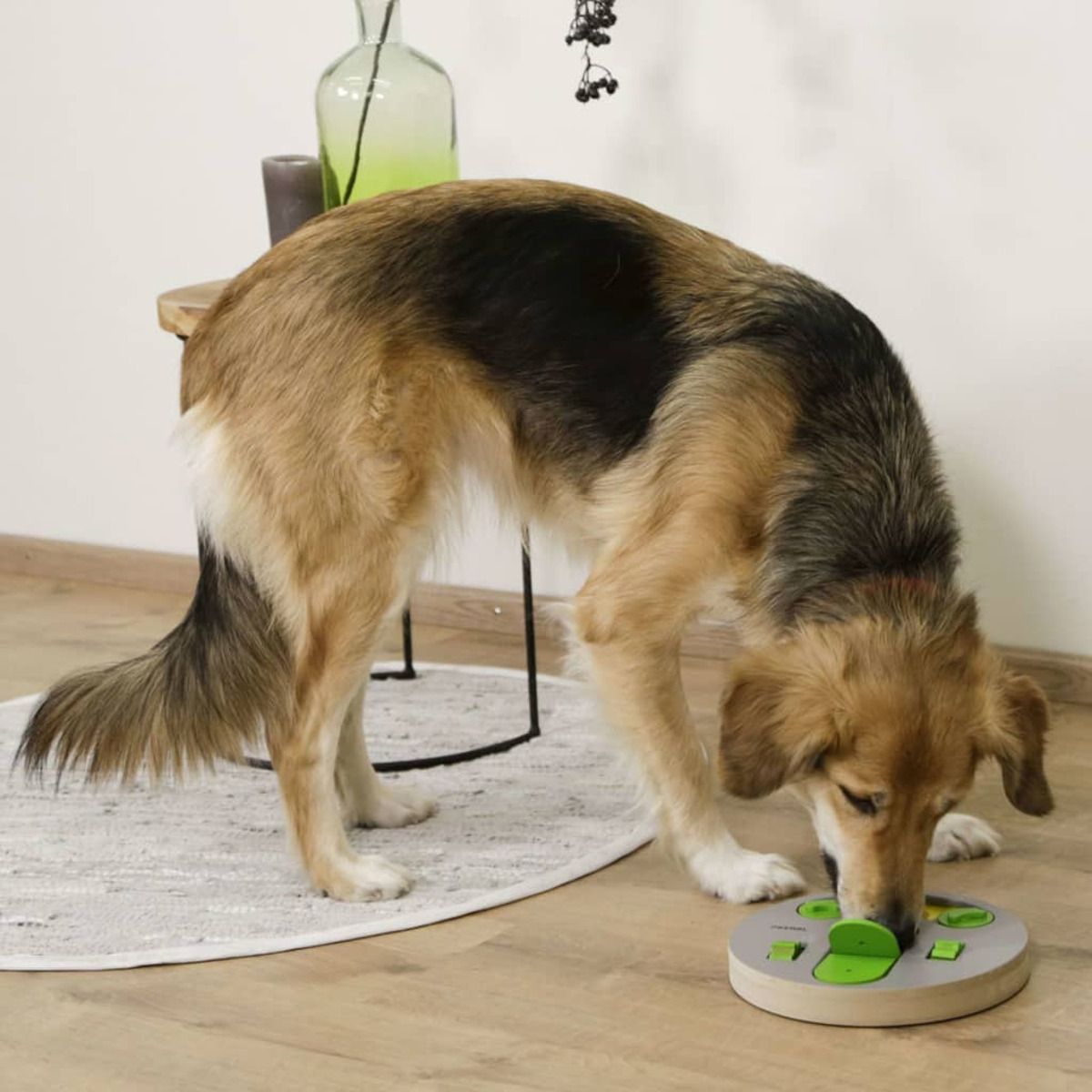 Hund mit braunem und schwarzem Fell spielt ein Puzzlespiel auf einem Holzboden. Ein kleiner Tisch und eine Vase sind im Hintergrund.