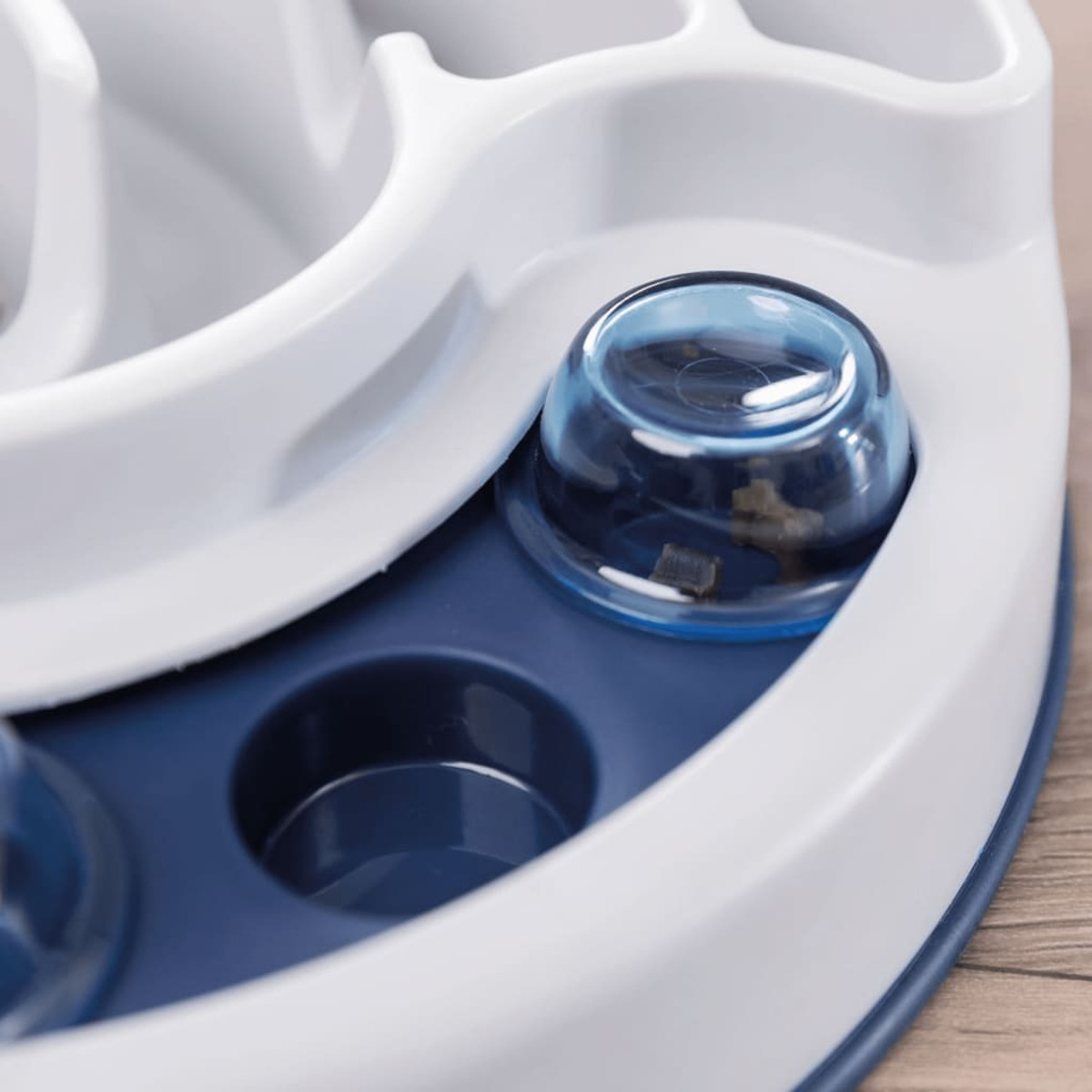 Zbliżenie białej i niebieskiej zabawki dla kota z przezroczystą niebieską kopułą. Zabawka ma wiele otworów.