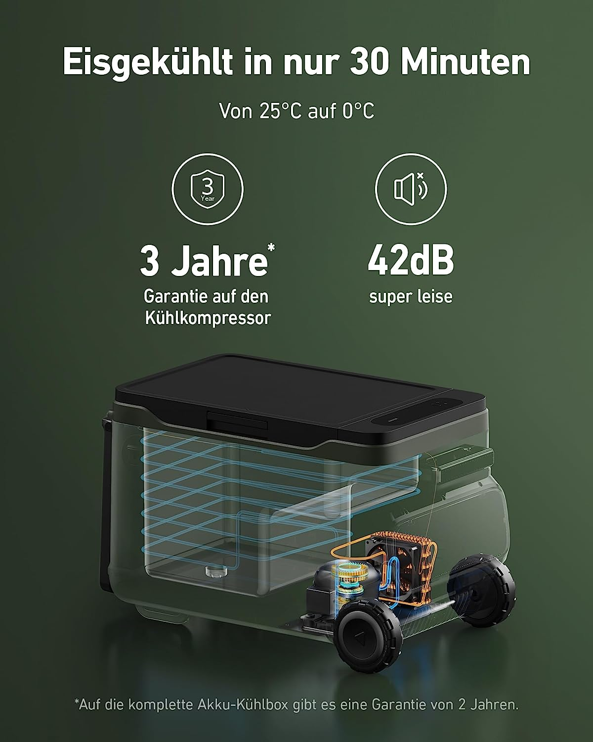 ANKER EverFrost Cooler 30 (33 Liter, coolbox Schwarz)
