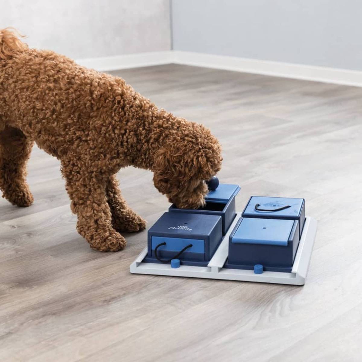Un cane interagisce con un giocattolo puzzle, il cane è marrone e il giocattolo è blu.