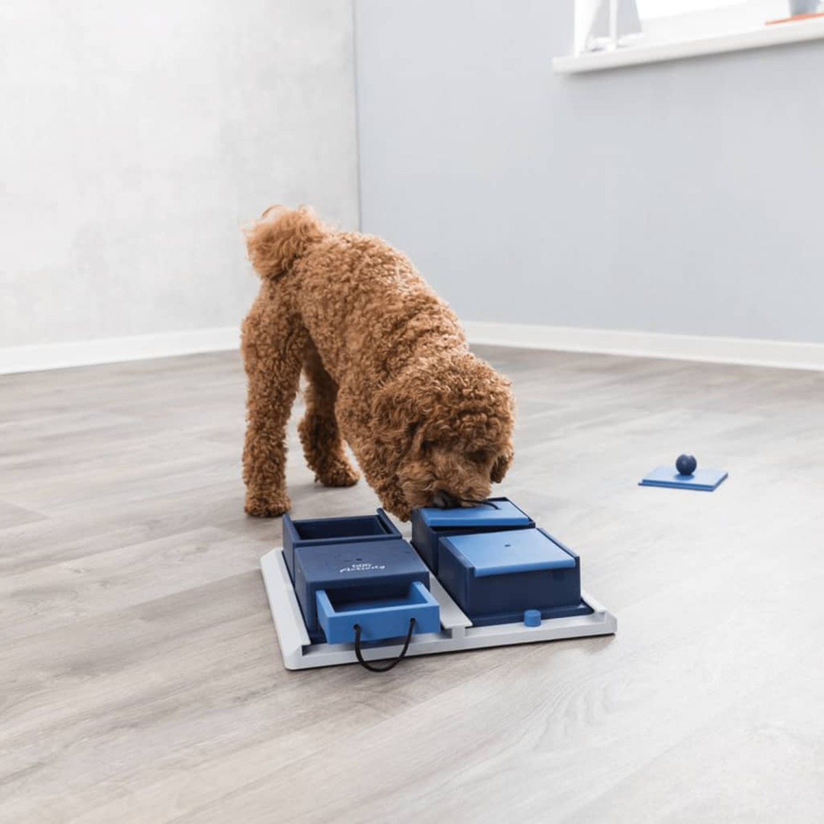 Un cane interagisce con un giocattolo puzzle sul pavimento. Il giocattolo ha cassetti e scomparti.