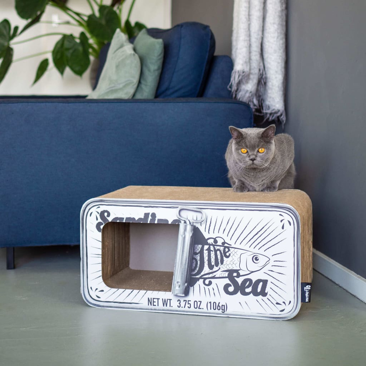 Un gatto grigio su una cuccia a forma di scatola di sardine. La cuccia è sul pavimento.