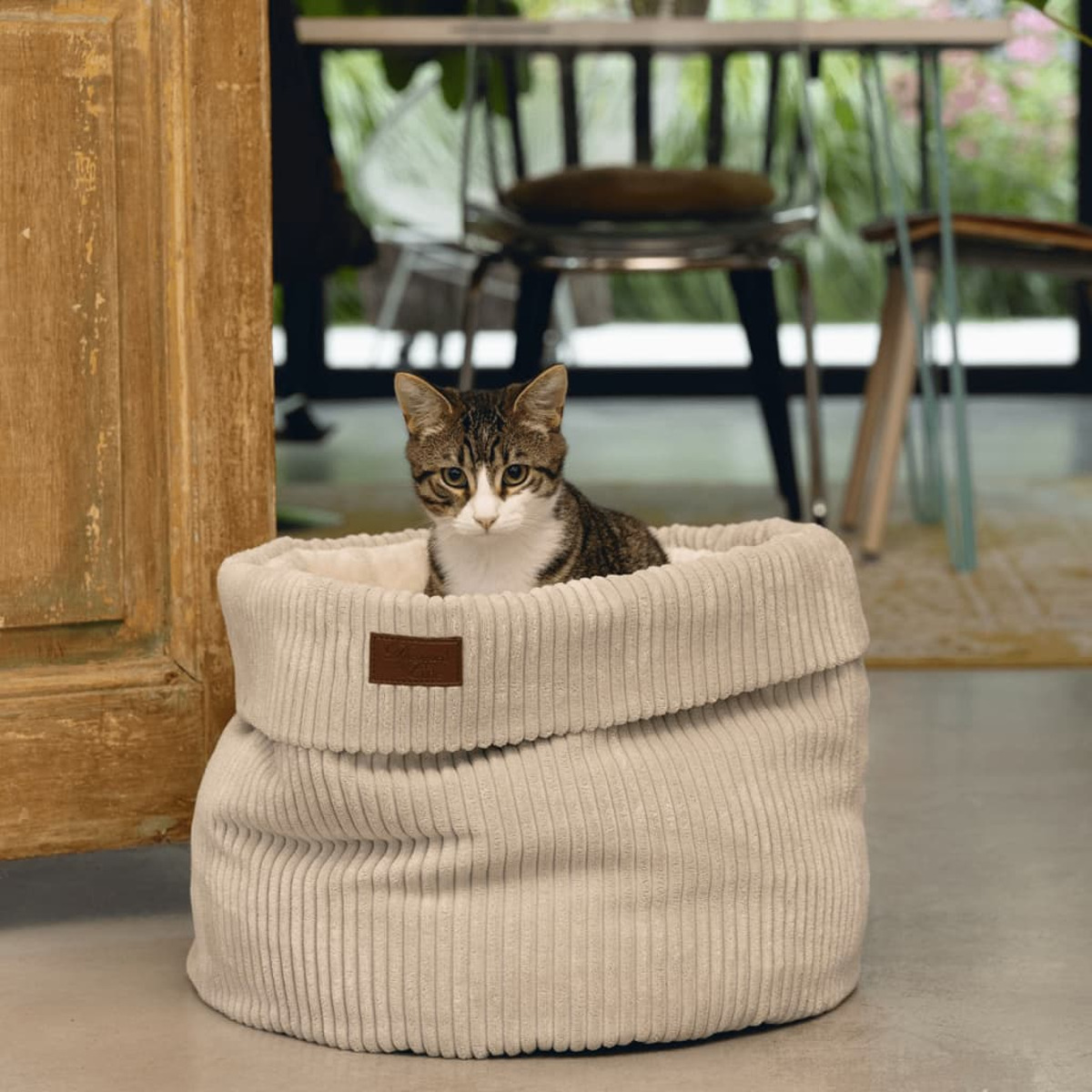 Eine getigerte Katze sitzt in einem beigen, kordartigen Haustierbett und blickt in die Kamera.