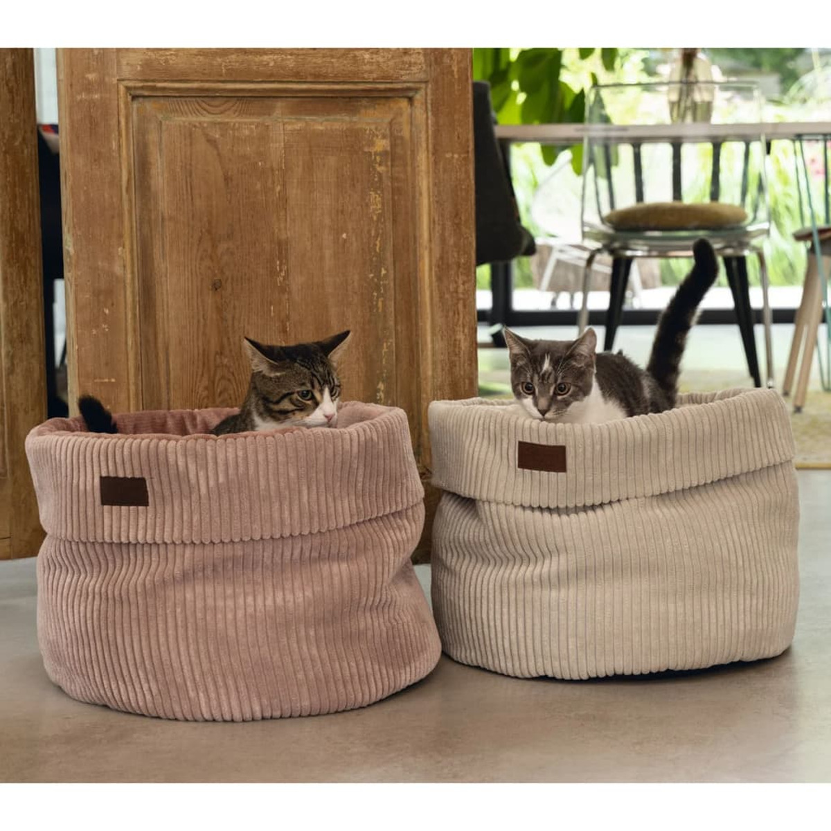 Zwei Katzen in Cord-Haustierbetten, eines rosa, eines cremefarben, vor einer Tür.