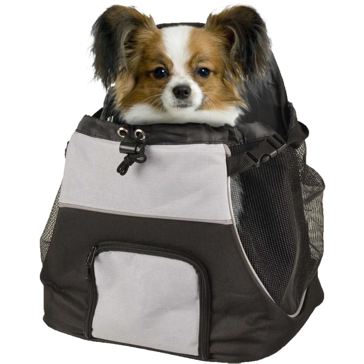 Ein kleiner Hund lugt aus einer schwarz-grauen Haustiertragetasche.