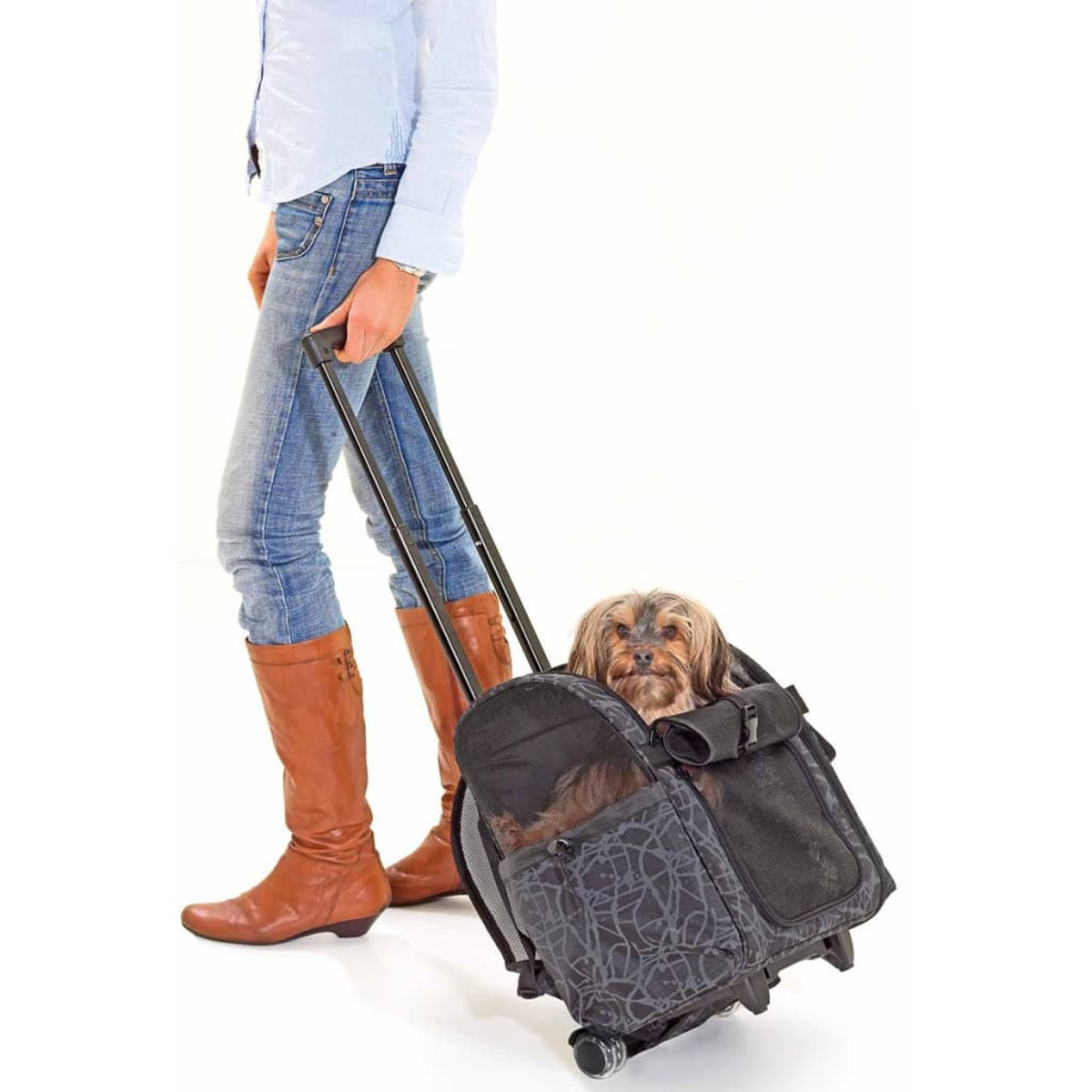 Eine Person geht mit einem Hund in einem rollenden Haustier-Träger. Der Hund schaut heraus.