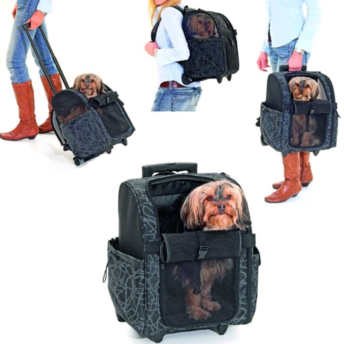 Mehrere Bilder eines Hundes in einem rollenden Haustierträger. Verschiedene Winkel und Positionen.