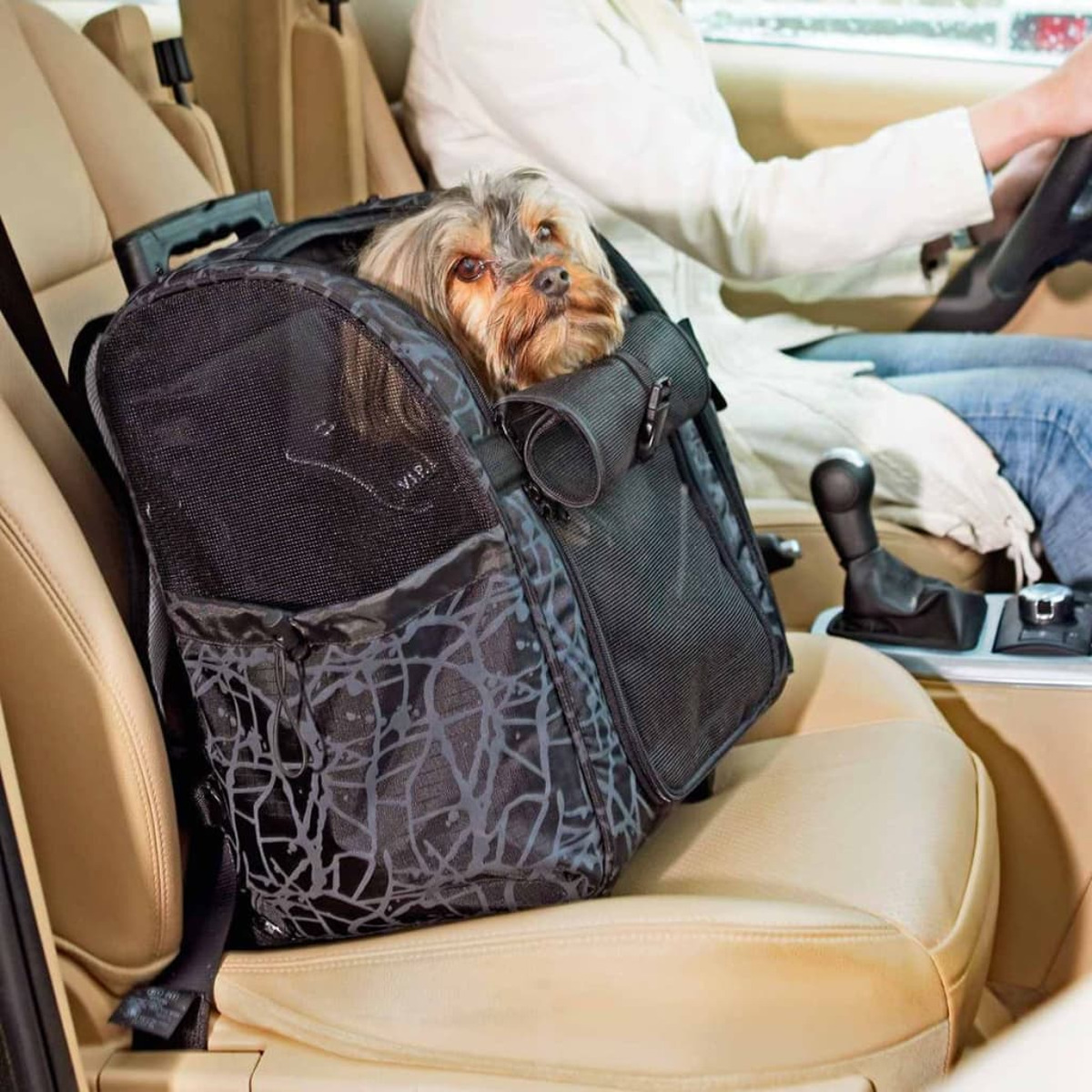 Hund in einer Transporttasche im Auto. Eine Person fährt. Die Tasche ist schwarz mit Muster.