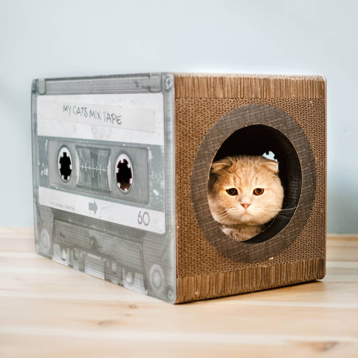 Eine Katze, die aus einem Katzenhaus in Form einer Kassette herausschaut. Die Katze ist orange und weiß.