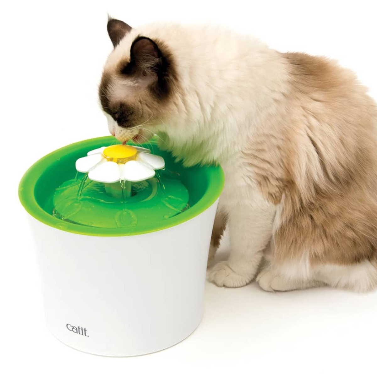 Eine Katze trinkt Wasser aus einem weiß-grünen Haustierbrunnen mit blütenförmigem Auslauf.