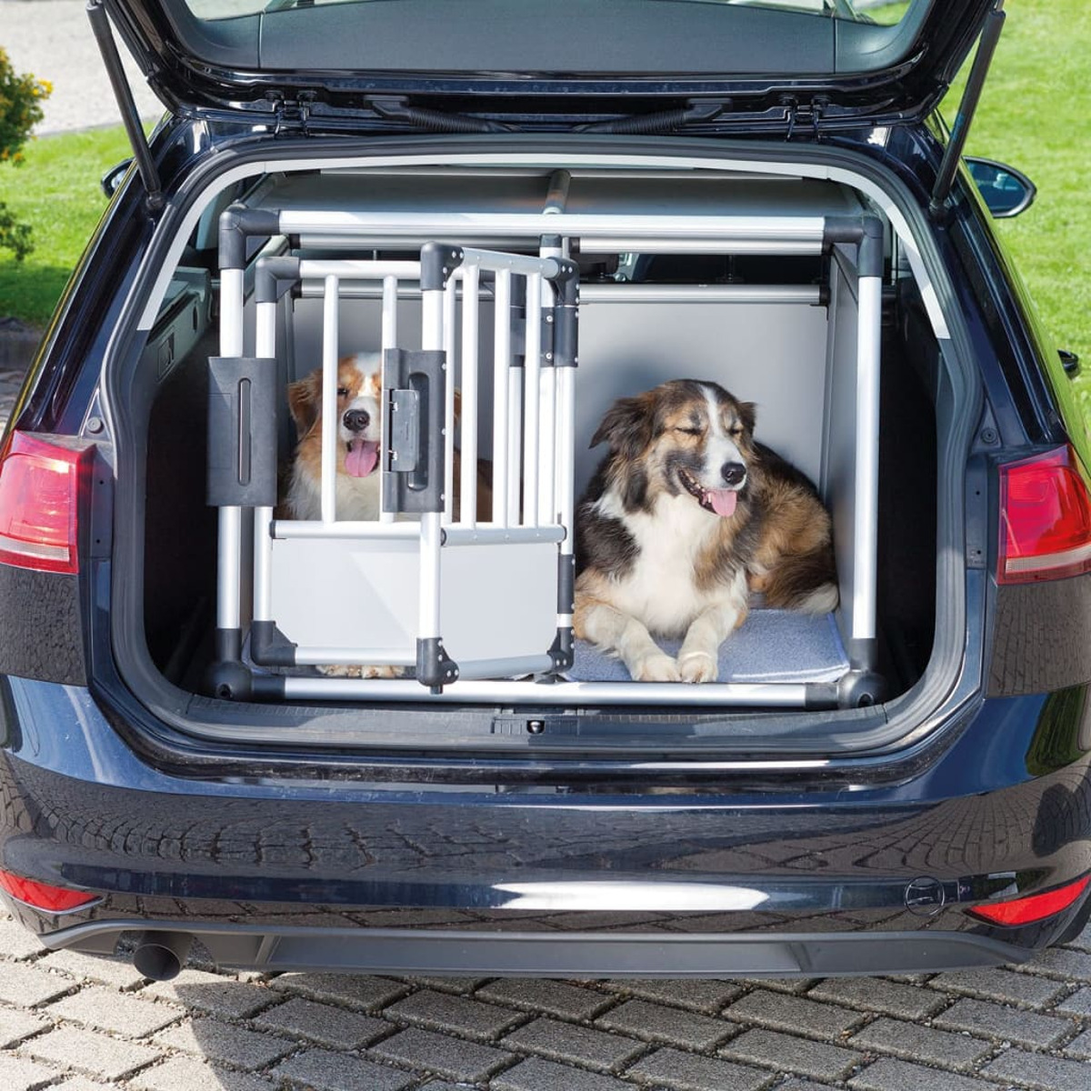 Zwei Hunde im Kofferraum. Sie sind in einer Metallkiste, der Kofferraum ist offen.