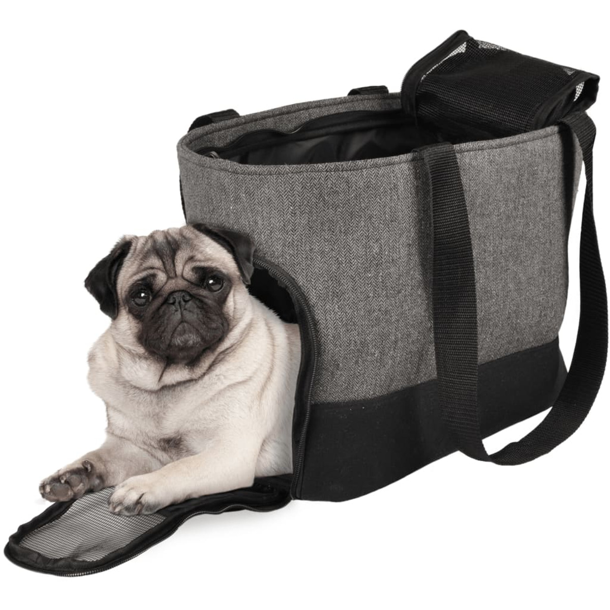Ein Mops sitzt in einer Haustiertragetasche mit offenem Reißverschluss.