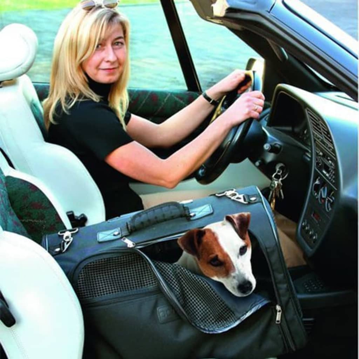 Frau fährt Auto mit Hund in einer Tragetasche.