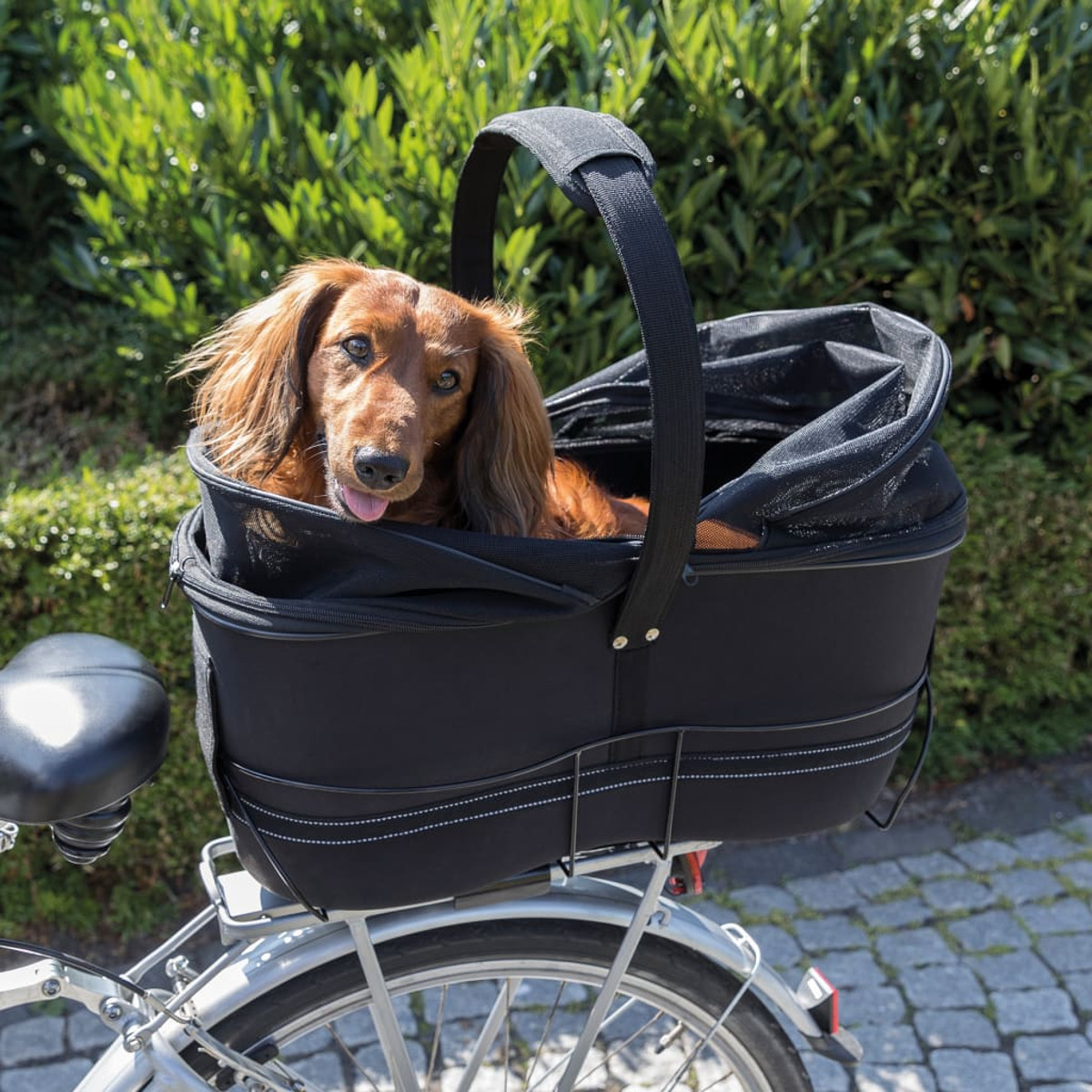 Ein Dackel in einem schwarzen Fahrradkorb, der am Fahrrad befestigt ist, mit grünen Büschen im Hintergrund.