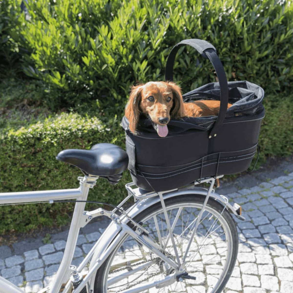 Hund in einem schwarzen Korb auf einem Fahrrad, grüne Büsche im Hintergrund.