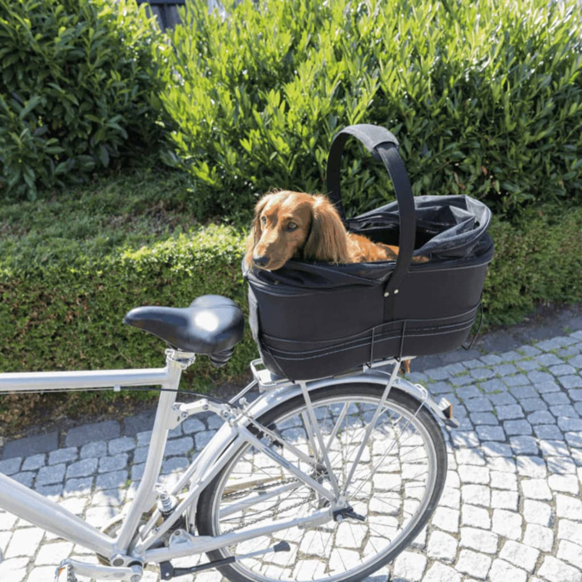 Ein Hund in einem schwarzen Korb auf einem Fahrrad.
