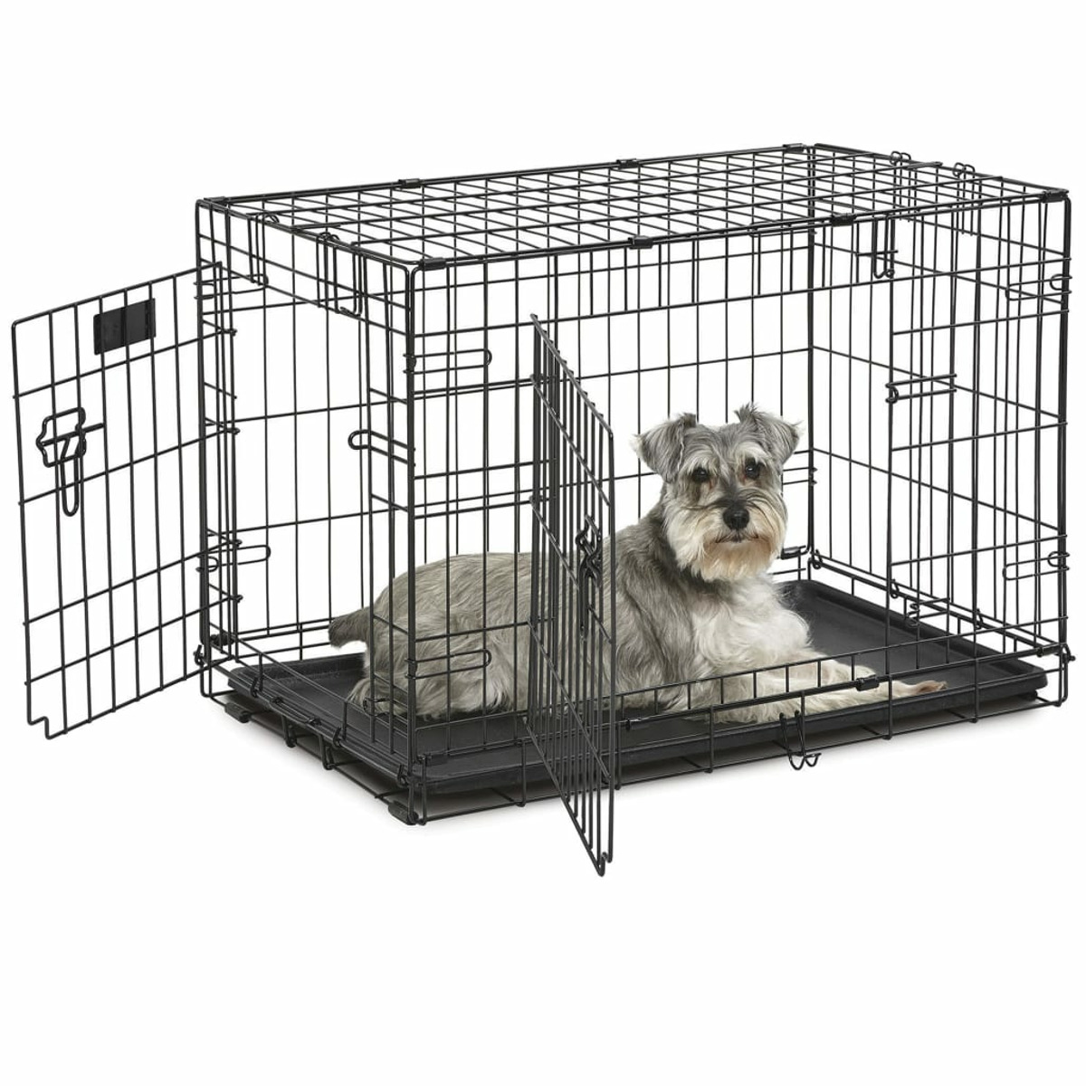 Ein Hund in einer schwarzen Metallkiste mit offener Tür.