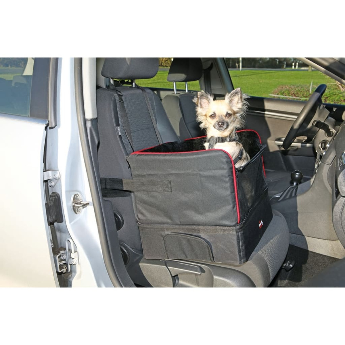 Hund in einem schwarzen Autositz. Beige Innenausstattung. Autositz ist schwarz und rot.