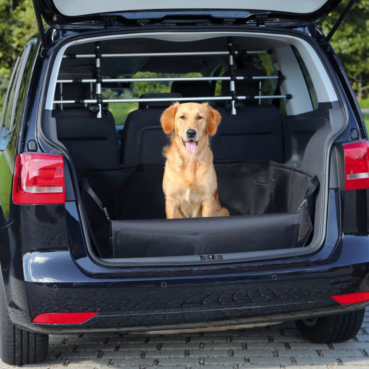 Ein Golden Retriever im Fond eines Autos mit schwarzer Barriere.
