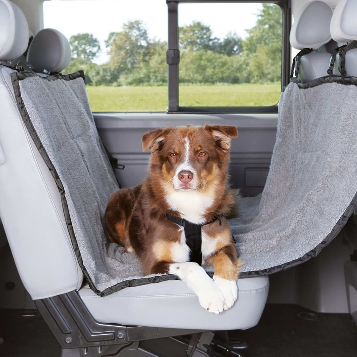 Ein braun-weißer Hund sitzt auf einer grauen Autositzauflage in einem Fahrzeug.