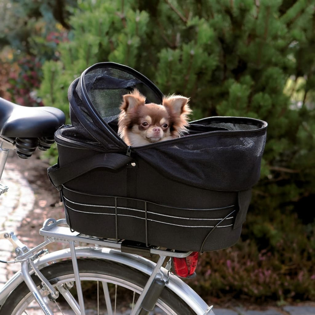 Kleiner Hund in einem schwarzen Fahrradkorb auf einem Fahrrad, mit grünem Hintergrund.