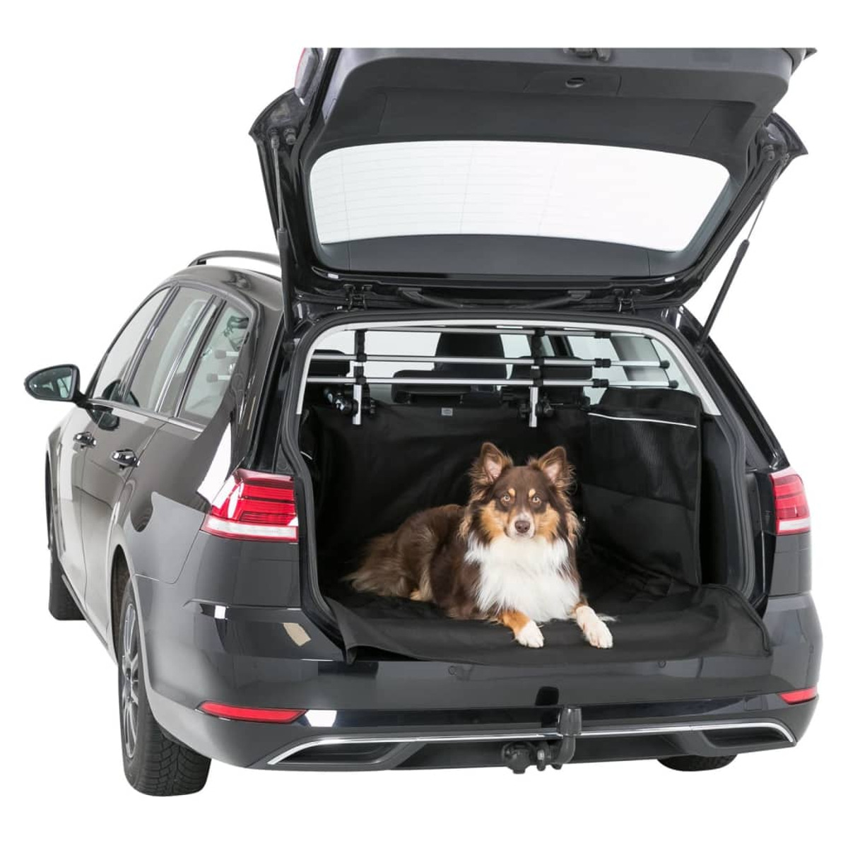Schwarzer Kombi mit geöffnetem Kofferraum. Ein Hund liegt auf einer Matte. Ein Hundegitter ist eingebaut.