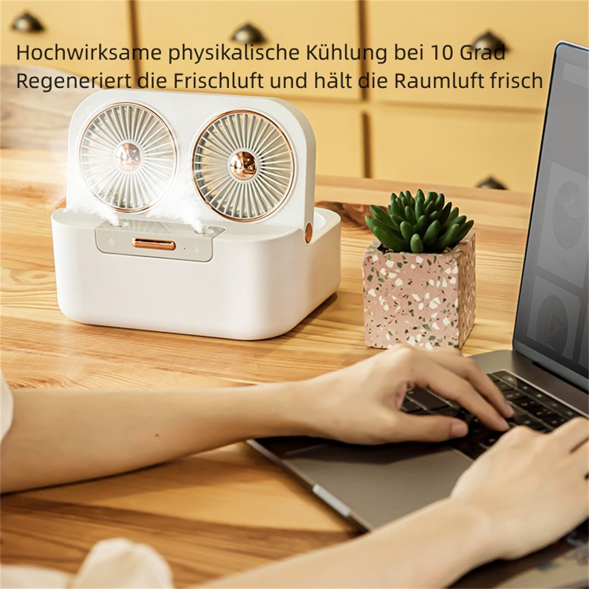 Weißes Gerät mit zwei Lüftern, einer Sukkulente und einem Laptop. Hand einer Person auf dem Laptop.