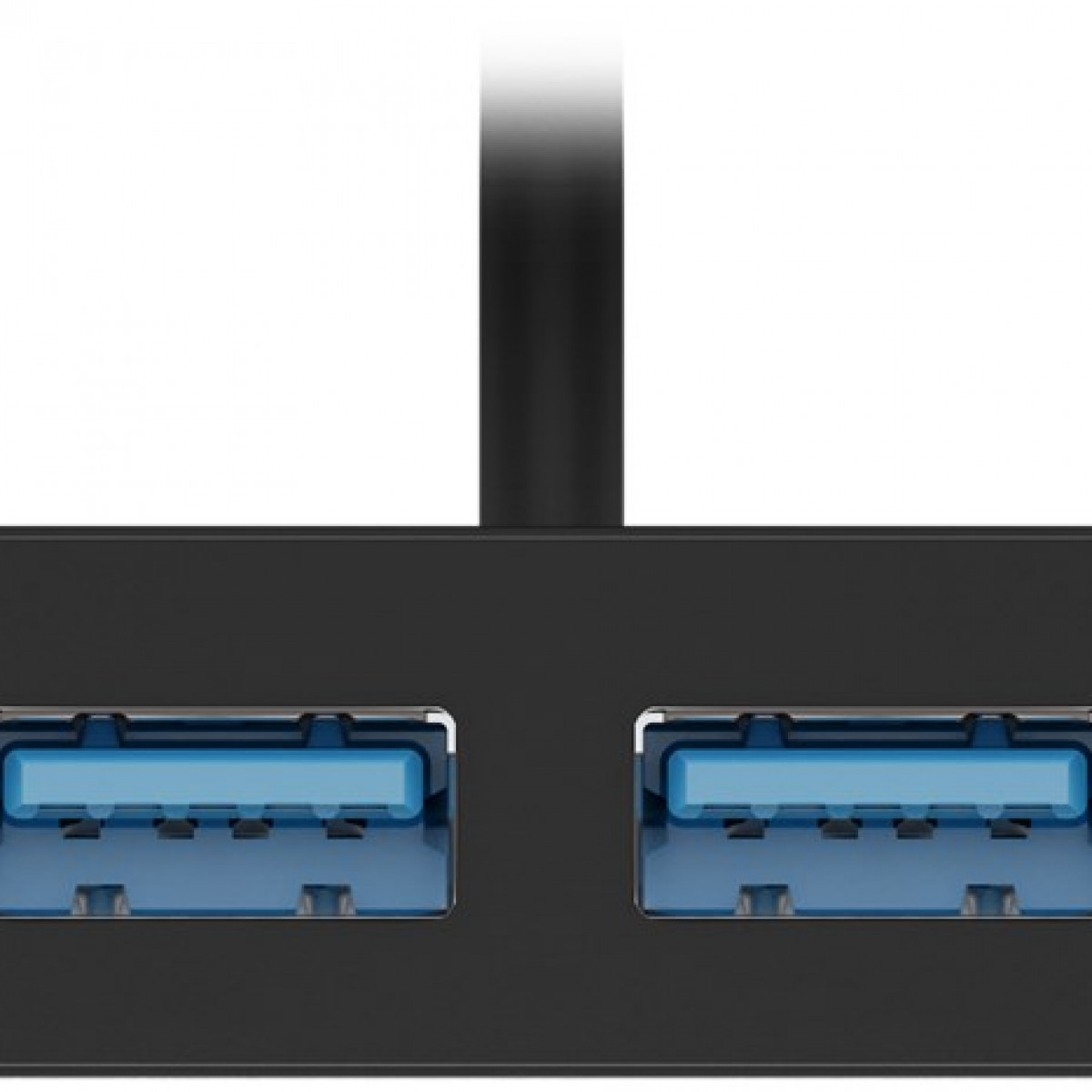 Ein schwarzer USB-Hub mit zwei blauen USB-Anschlüssen und einem schwarzen Kabel.