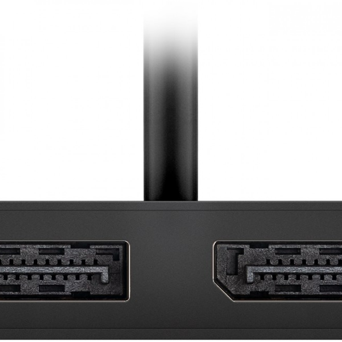 Ein schwarzer Stecker mit zwei Anschlüssen und einem schwarzen Kabel vor weißem Hintergrund.