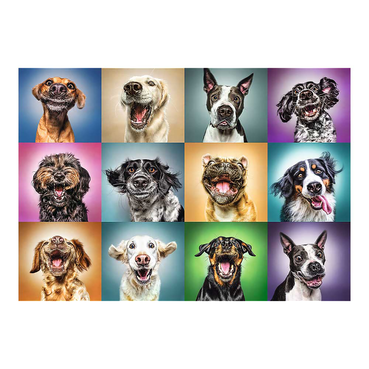 TREFL Lustige Portraits Puzzle Hunde